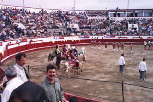 bullfight.jpg